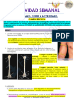 Actividad Semanal l4 - 2020 Clave de Rta