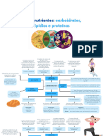 Mapa Mental Macronutrientes