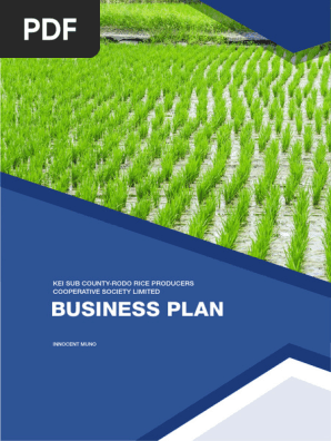 KROP business plan