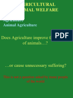 Agriculture Animal Welfare