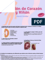 Presentación Biología Cuerpo Humano Células Orgánico Ilustrado Rosa y Lila
