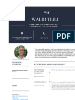 Walid Tlili: Permis de Conduire