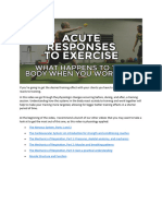 Acute Responses To Exercise