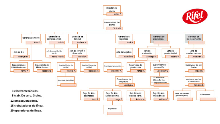 Estructura Organizacional Grupo Rifel | PDF
