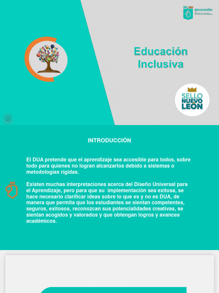 Implementación del DUA en Educación | PDF | Plan de estudios | Aprendizaje