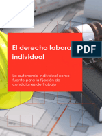 La Autonomia Laboral Como Fuente de Fijacion de Condiciones de Trabajjo