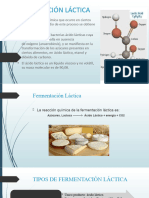 Fermentación Láctica