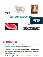 Sistema Endocrino