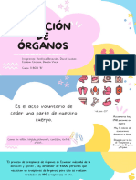 Donación de Órganos