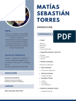 Curriculum Matias Sebastian Torres 