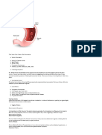 Peptic Ulcer Case