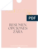 Resumen Opciones Zara