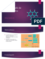 Cromatógrafo de Hidrocarburos