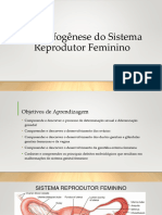 Sistema Reprodutor Feminino (Alunos)