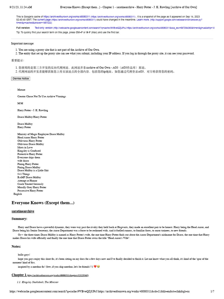 Harry and Draco: Office Dynamics | PDF | Harry Potter | Fantasy Novel Series