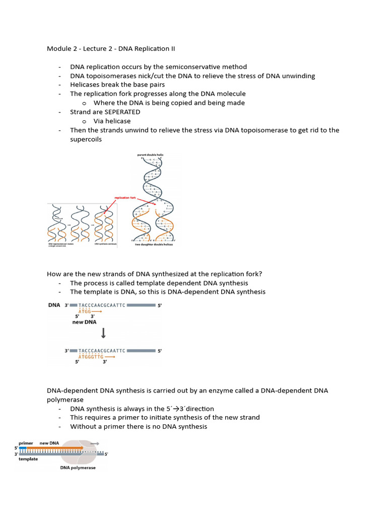 Module 2 - Lecture 2 - DNA Replication II | PDF | Dna Replication ...