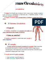 Aparelho Circulatório - Apont