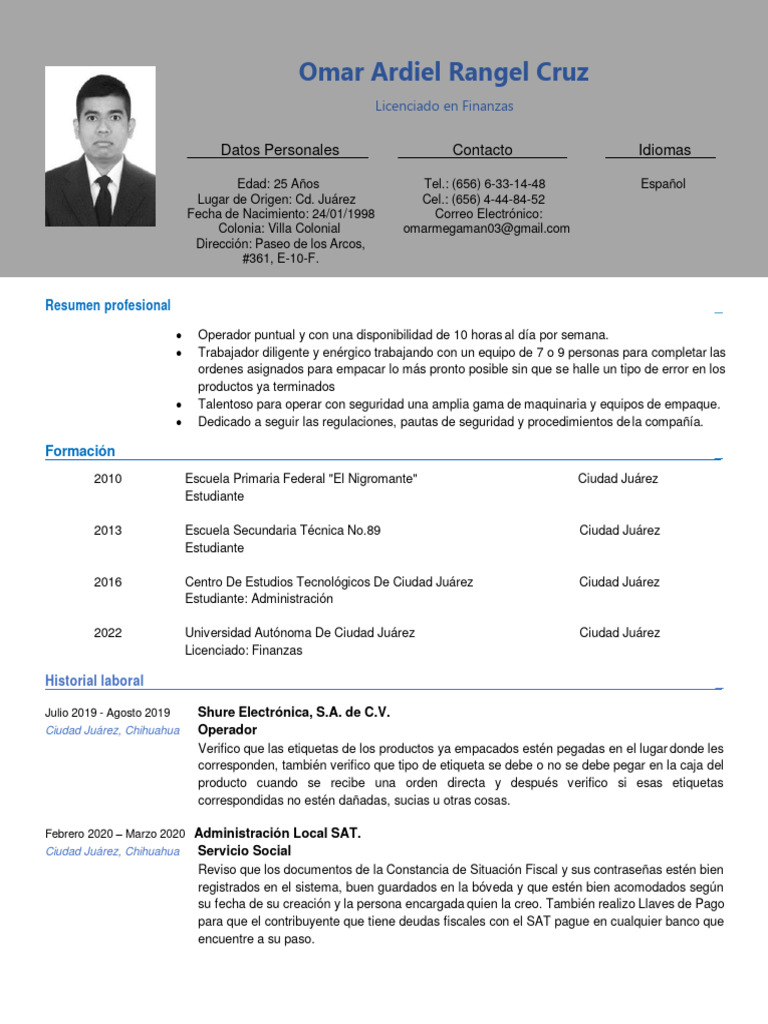 Curriculum Vitae PDF Ciudad juárez