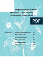 Efektivitas Pengaruh Cahaya Matahari Dan Cahaya Lampu Terhadap Pertumbuhan Kacang Merah