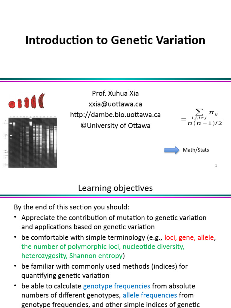 Understanding Genetic Variation Basics | PDF | Zygosity | Allele