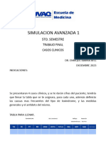 Trabajo Final Simulacion Avanzada 1