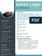 CV Profesional Renzo Laqui 2024