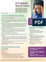 Fs 9sp Flu Factsheet Espanol