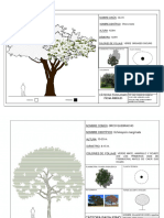 Ficha Árboles - Parte 3