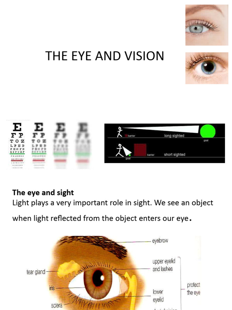 eye-and-vision-pdf-eye-human-eye