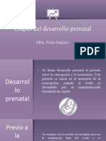 3 Periodo Fetal
