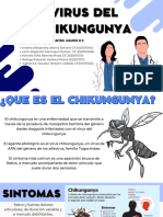 Chikungunya G3