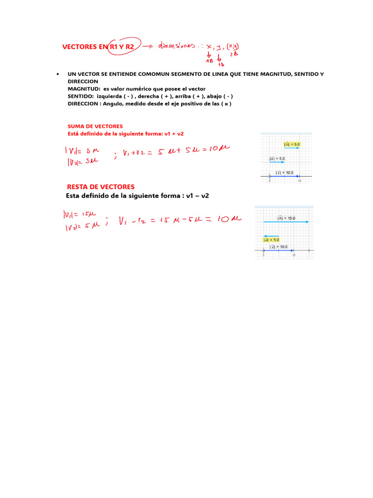 Vectores en R1 y R2 | PDF