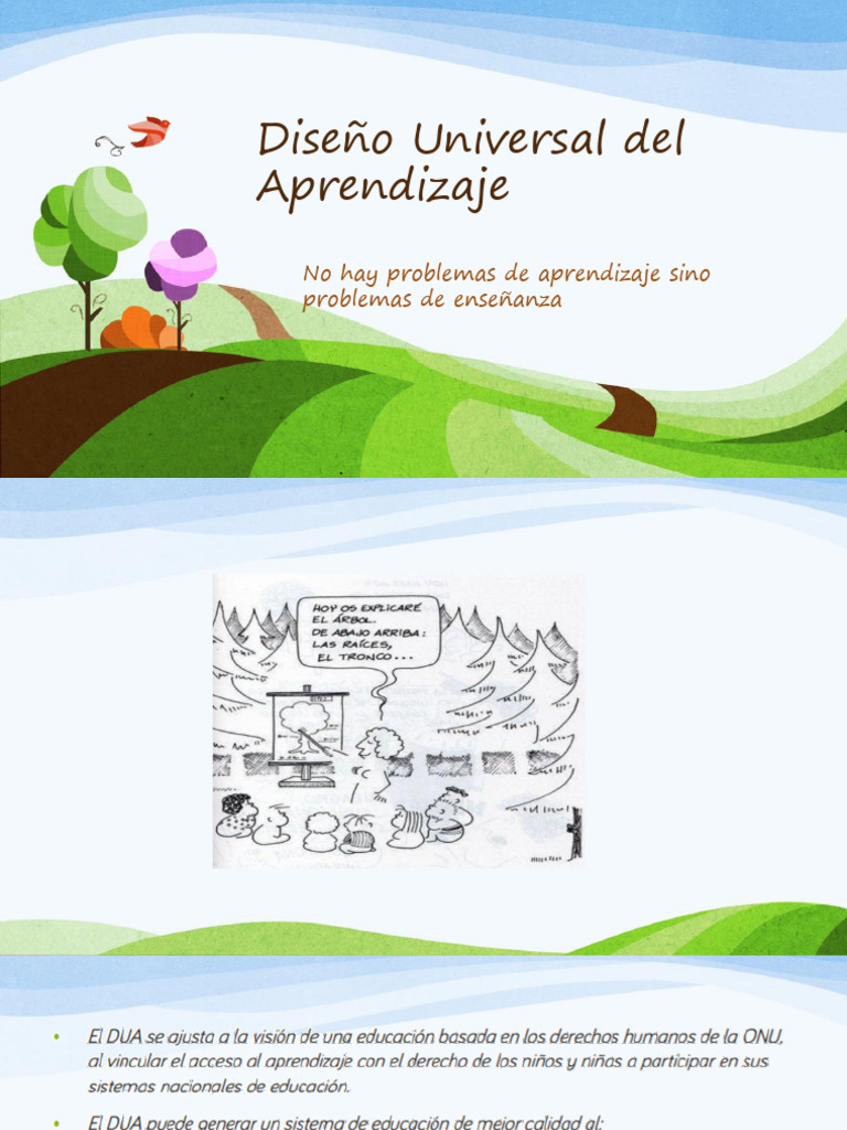 Principios del Diseño Universal de Aprendizaje | PDF