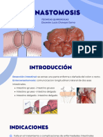 Entero Enteroanastomosis