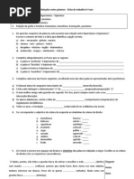 Relação entre palavras_9_ano