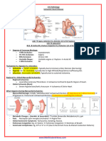 PATH - Ischaemic Heart Disease (13p)