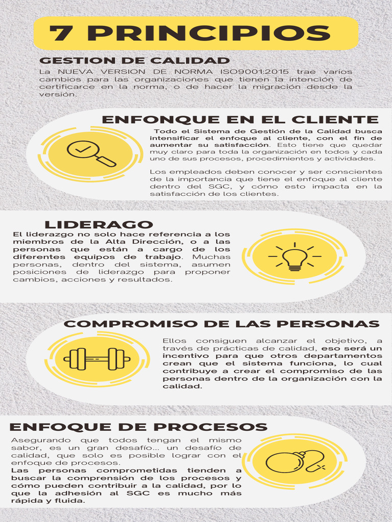 7 Principios de Gestión de Calidad ISO 9001 | PDF | Gestión de la ...