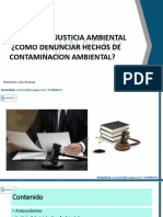 Curso Acceso A La Justicia Ambiental - Como Denunciar Hechos de Contaminacion Ambiental