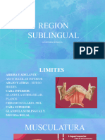 Region Sublingual Final (Autoguardado)
