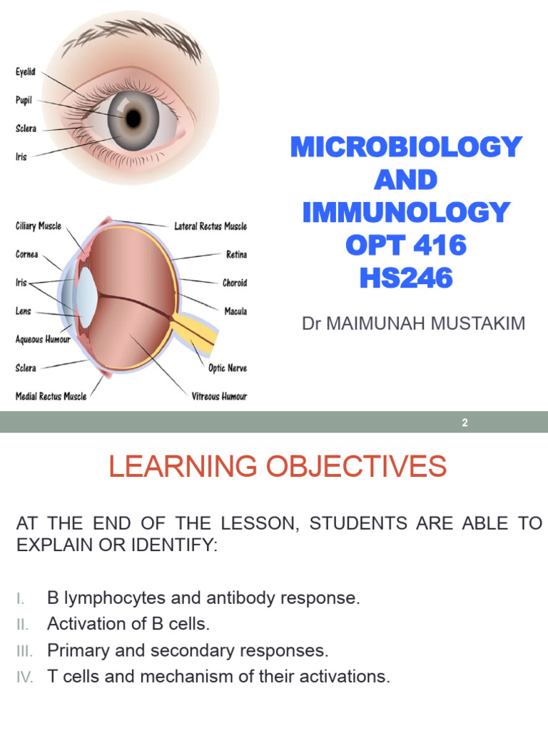 7 2 Immunology Adaptive Immunity 17dec2021 Pdf T Cell B Cell