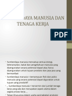 Materi Psdmi - Sumber Daya Manusia Dan Tenaga Kerja