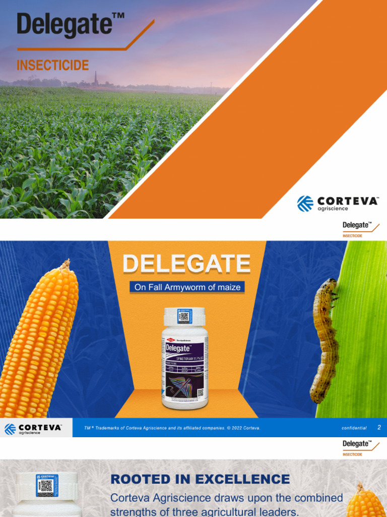 Delegate Corn | PDF