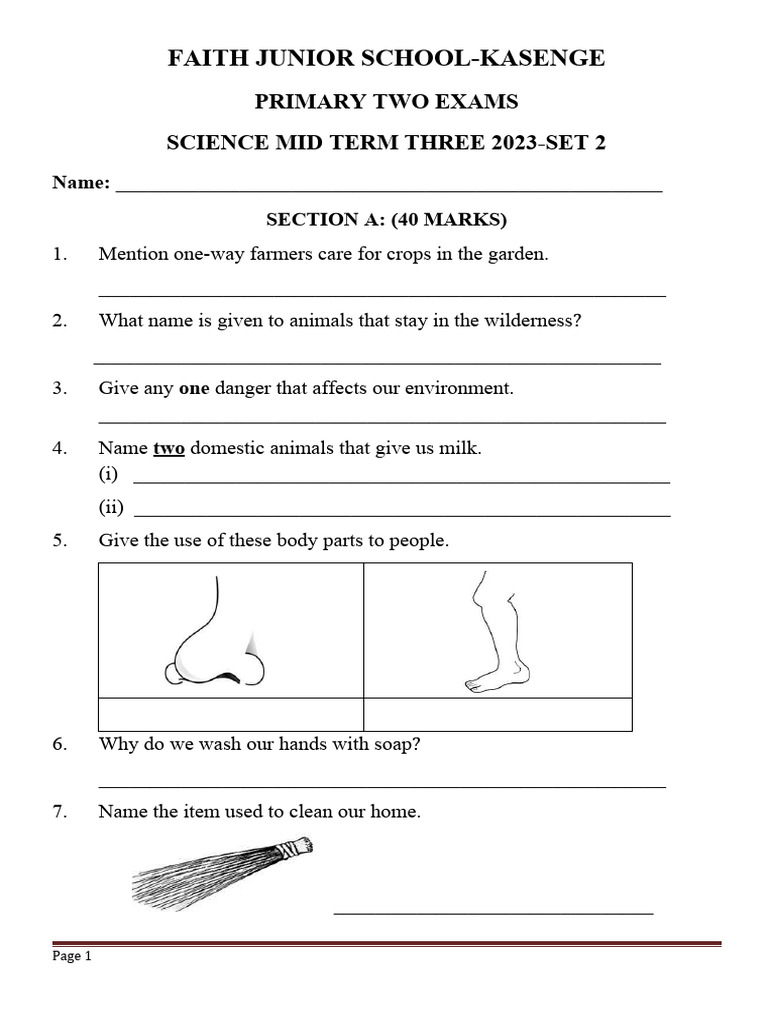 P.2 Sci | PDF