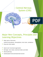 Wk5 - Central Nervous System - Student Version 2023