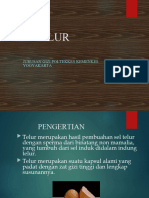 Ilmu Pangan 7_Telur