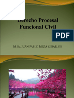 Tema 10 DER-P-F-CIVIL 2022