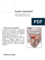 Oclusion Intestinal