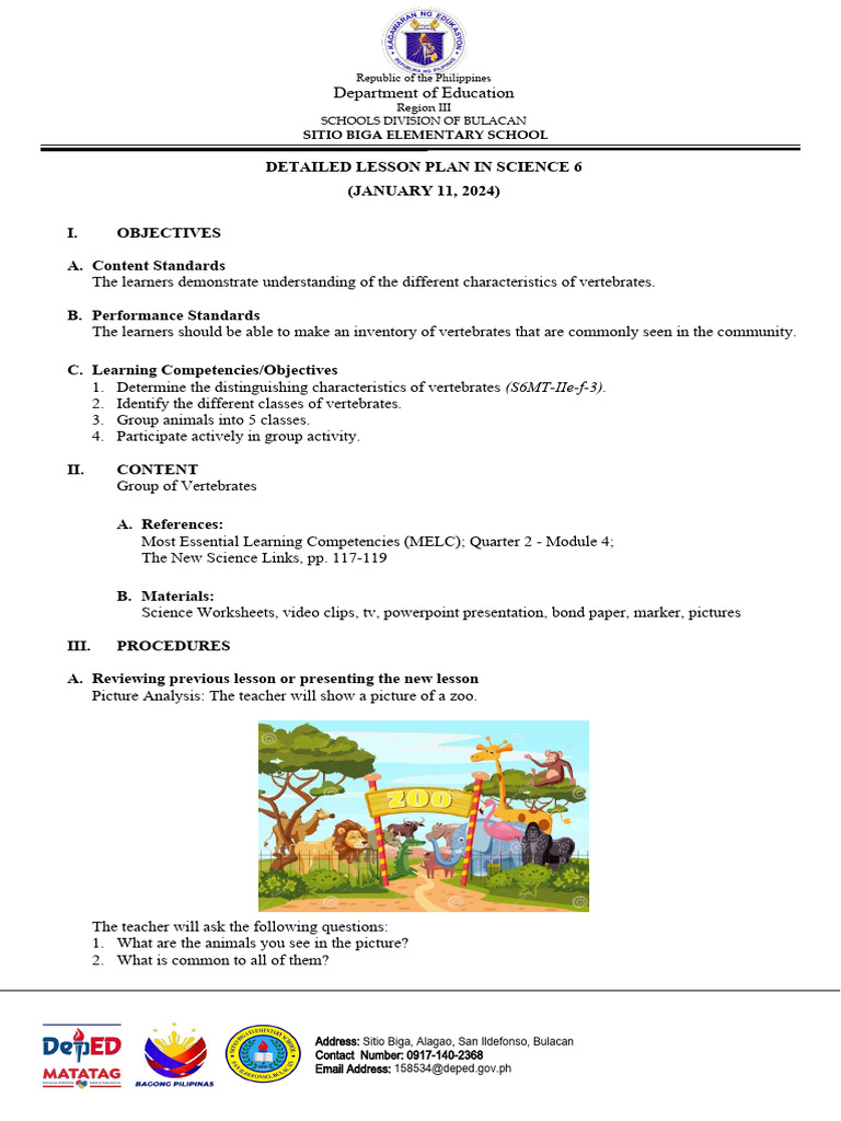 Science 6 Lesson Plan: Vertebrates | PDF | Egg | Amphibian