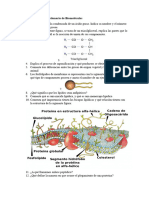 05 2a Parte Del Cuestionario de Biomoléculas