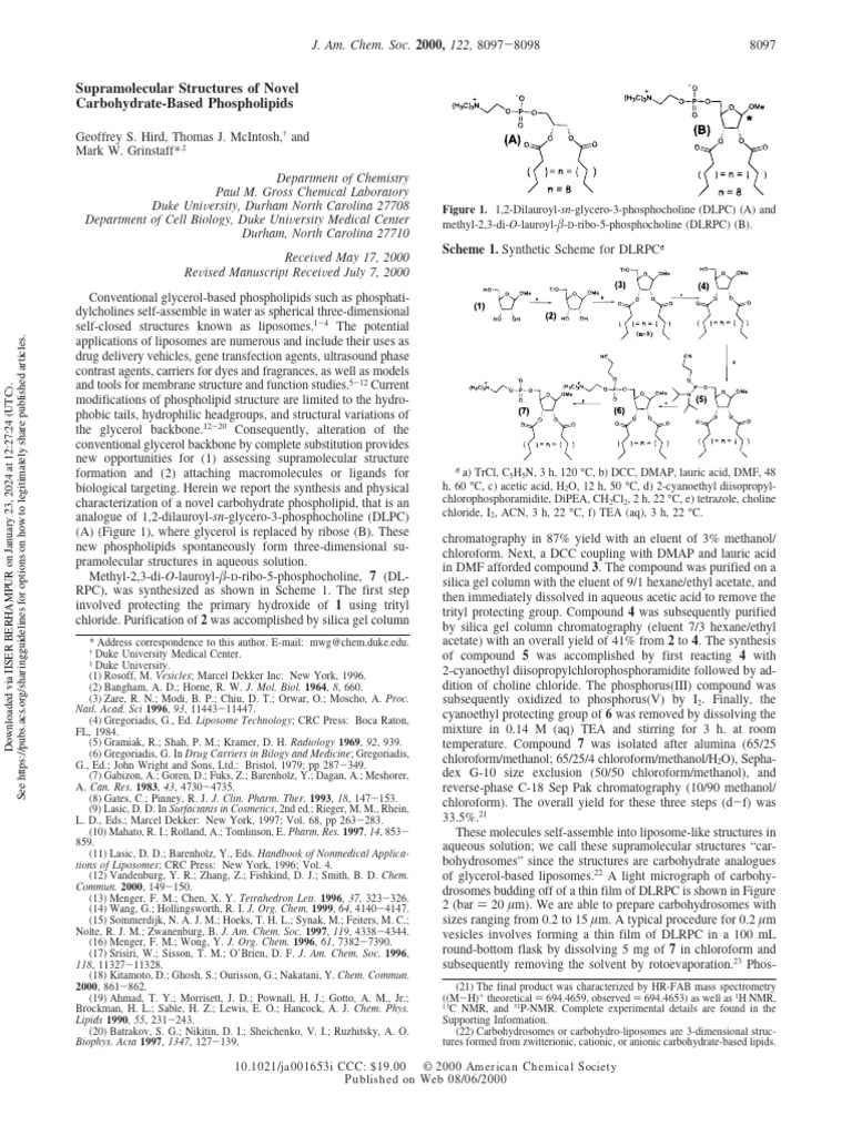Unlocking The Mystery Are Phospholipids Polymers - 7r2b7zg